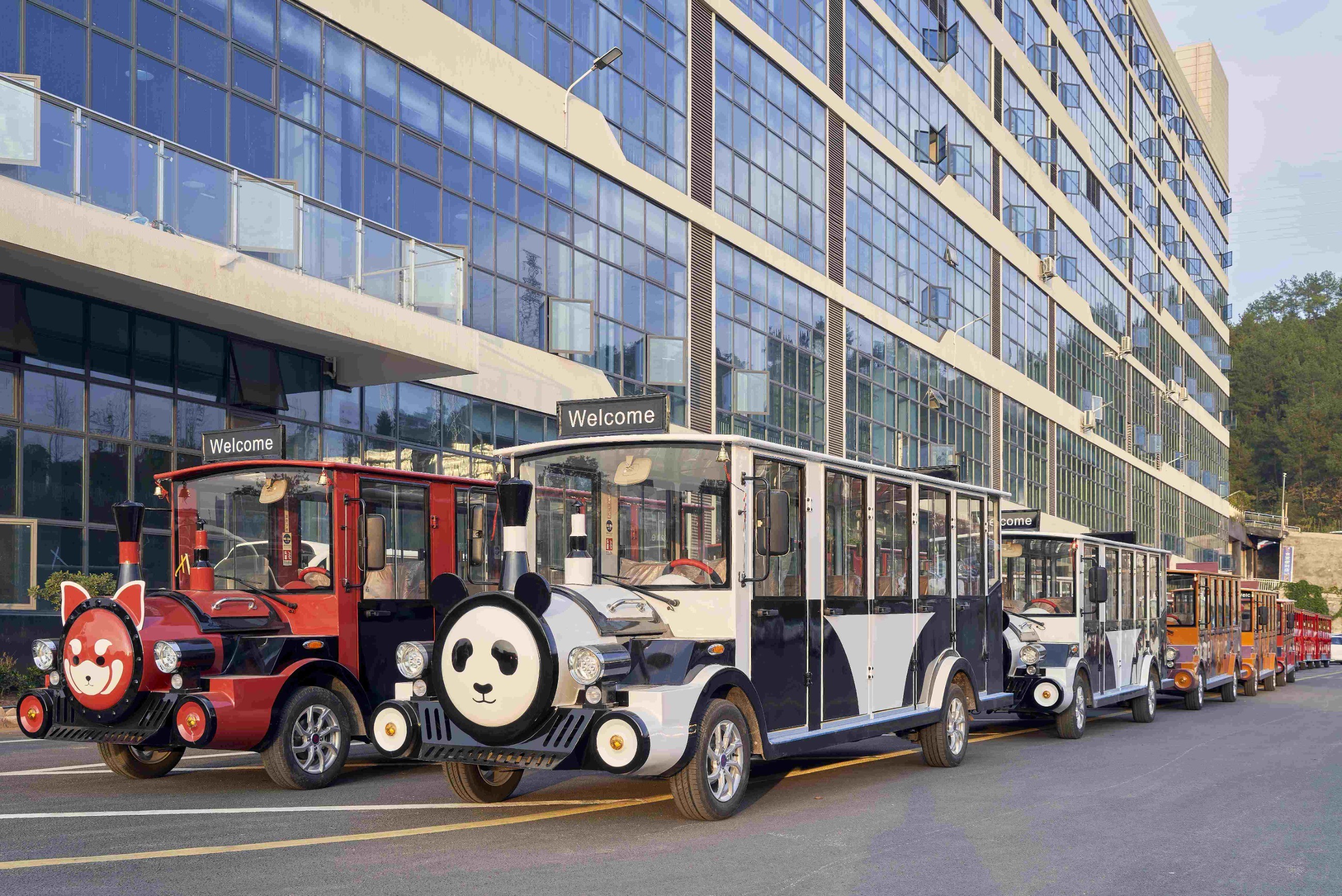 電動(dòng)觀(guān)光車(chē)