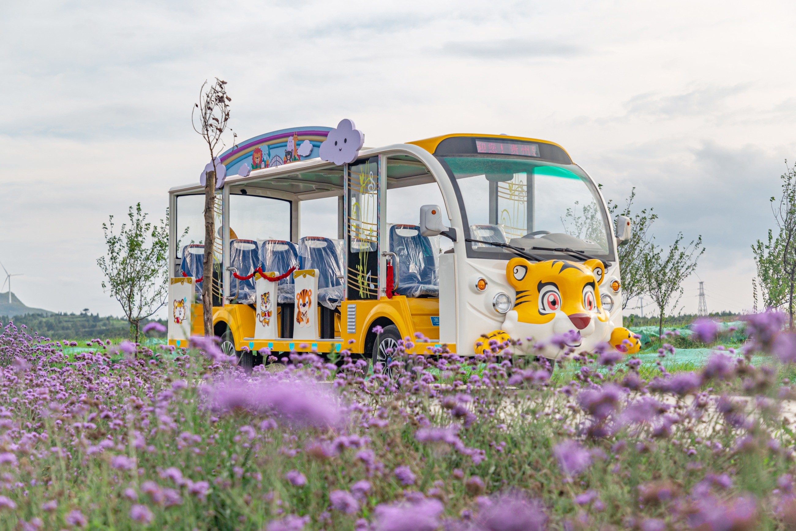 電動(dòng)觀(guān)光車(chē)