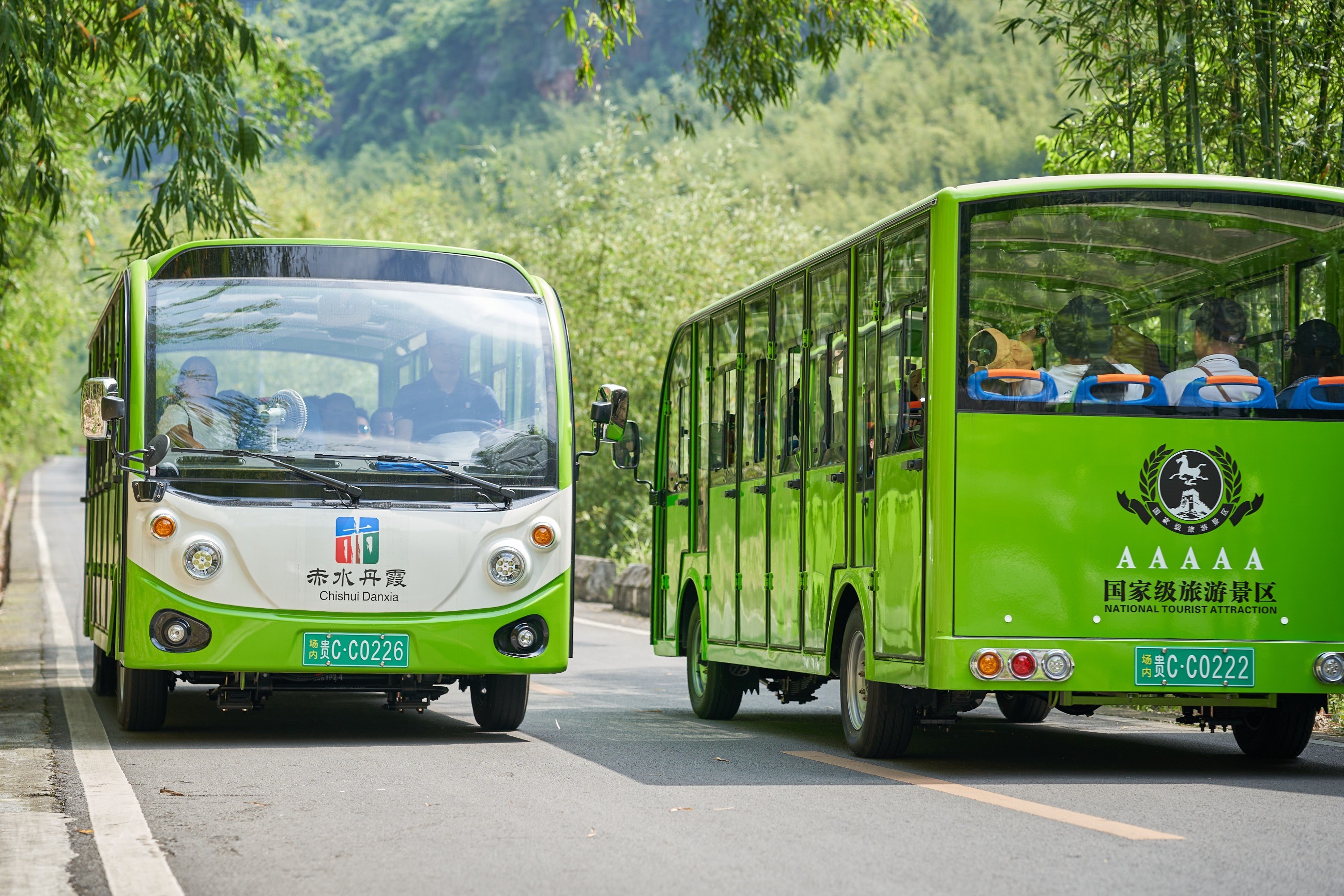 電動(dòng)觀(guān)光車(chē)